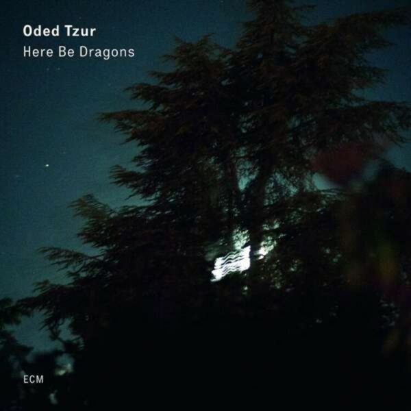 Here Be Dragons (Vinyl) - Oded Tzur
