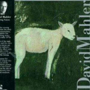 Hearing Voices - David Mahler
