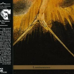 Luminescence - Borah Bergman Trio