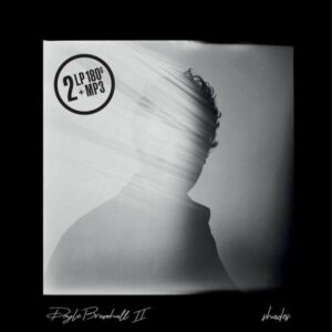 Shades (Vinyl) - Doyle Bramhall II