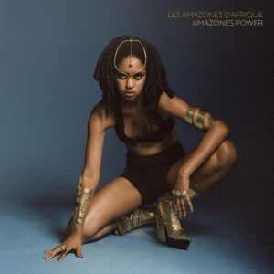 Amazones Power (Vinyl) - Les Amazones D'Afrique