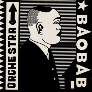 Tribute To Ndiouga Dieng (Vinyl) - Orchestra Baobab