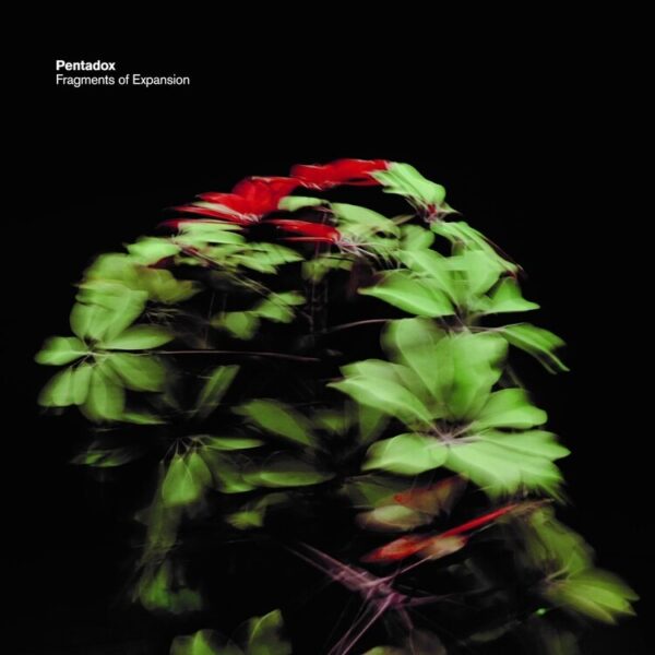 Fragments Of Expansion - Pentadox