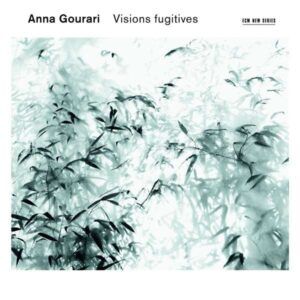 Visions Fugitives - Gourari