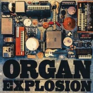 Organ Explosion - Hansi Enzensperger