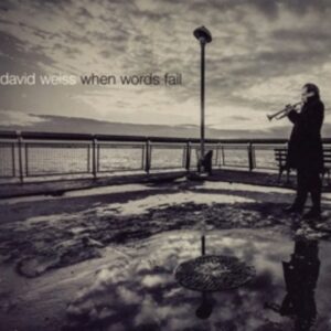 When Words Fail - David Weiss