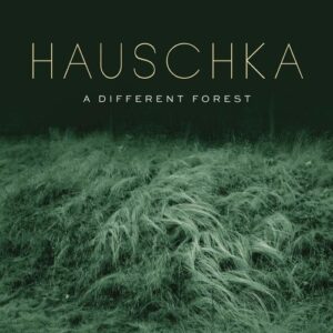 A Different Forest (Vinyl) - Hauschka