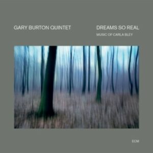 Dreams So Real - Burton