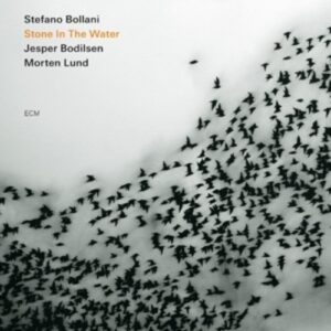 Stone In The Water - Bollani