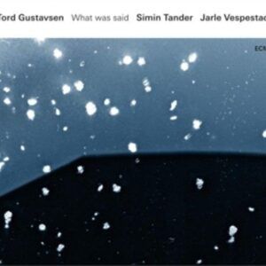 What Was Said - Gustavsen