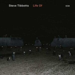 Life Of - Steve Tibbetts