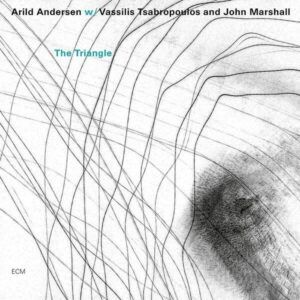 The Triangle - Arild Andersen