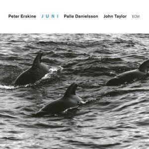 Juni - Peter Erskine Trio