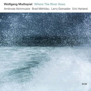 Where The River Goes (Vinyl) - Wolfgang Muthspiel
