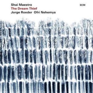 The Dream Thief (Vinyl) - Shai Maestro