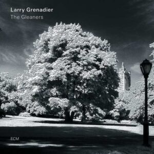 The Gleaners (Vinyl) - Larry Grenadier