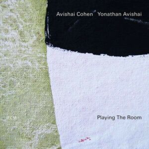 Playing The Room (Vinyl) - Avishai Cohen