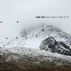 The Other Side Of If - Nak Trio