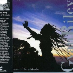 Stream Of Gratitude - Gyan Riley