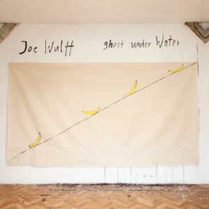 Joe Wulff: Ghost Under Water - Wulff, Joe