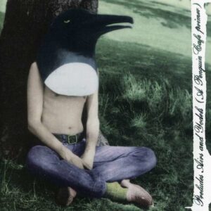 Preludes,  Airs And Yodels - Penguin Cafe Orchestra