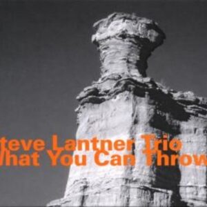 What You Can Throw - Steve Lantner Trio