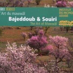 The Art Of Mawwal - Mohamed Bajeddoub