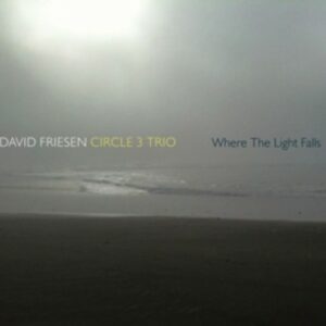 Where The Light Falls - David Friesen