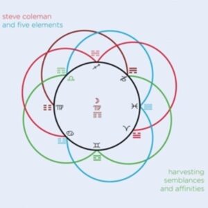 Harvesting Semblances And Affinities - Steve Coleman & Five Elements