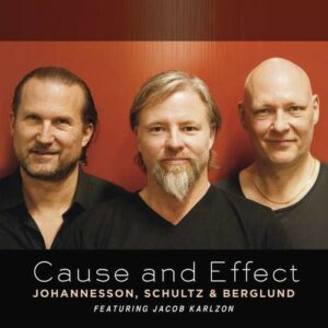 Cause And Effect - Johannesson, Schultz & Berglund