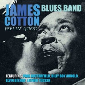 Feelin' Good - James Cotton