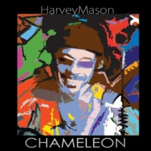 Chameleon - Mason