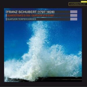 Franz Schubert: Quartettsatz D703 - Terpsycordes Quartet