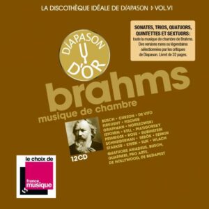 Brahms: Musique De Chambre 12 Cd