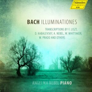 Johann Sebastian Bach: Bach Illuminationes (Trancriptions) - Nebel