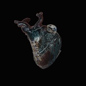 Guardians Of The Heart (Vinyl) - Blake