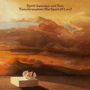 Transformation - David Sancious & Tone
