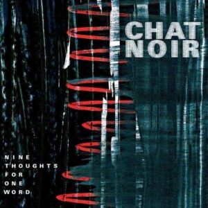 Nine Thoughts For One Word - Chat Noir