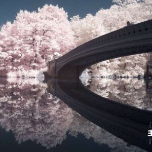 Long Game - Liam Noble