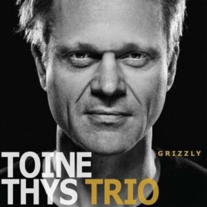 Grizzly - Toine Thys Trio