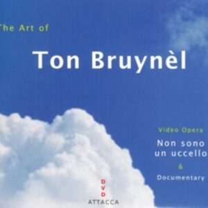 Art Of Ton Bruynel - Bruynel