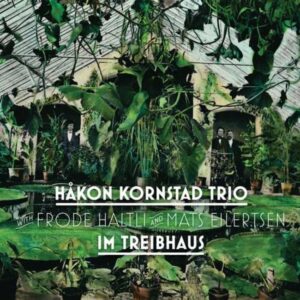 Im Treibhaus (Vinyl) - Hakon Kornstad