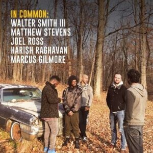 In Common (Vinyl) - Walter Smith III & Matthew Stevens