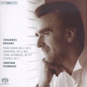 Johannes Brahms: Solo Piano Works Vol. 2