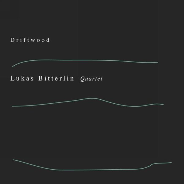 Lukas Bitterlin Quartet : Driftwood