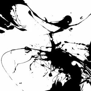 Holunderblüten : Blank