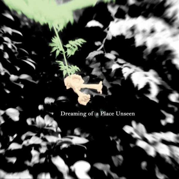 Nolan Quinn : Dreaming of a Place Unseen