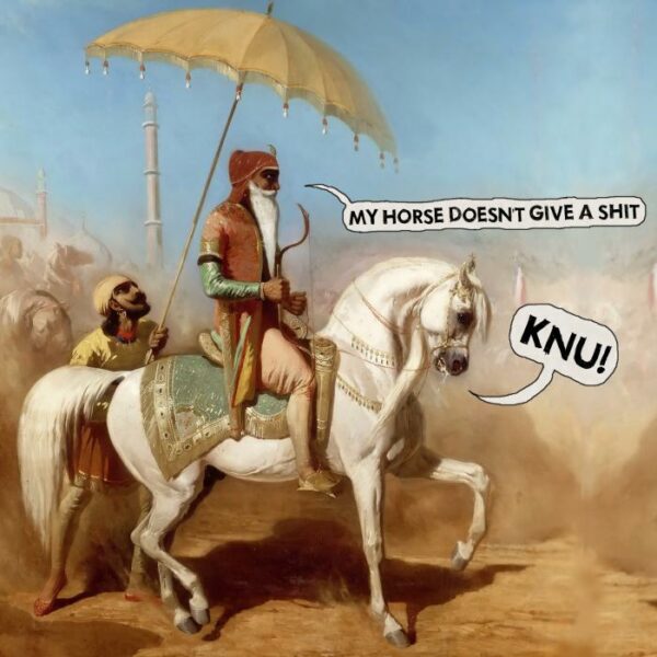 Knu! : My Horse doesn't Give a Shit