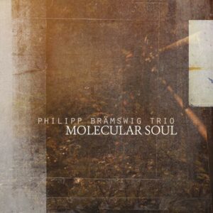Philipp Brämswig Trio : Molecular Soul