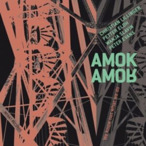 We Know Not What We Do - Amok Amor